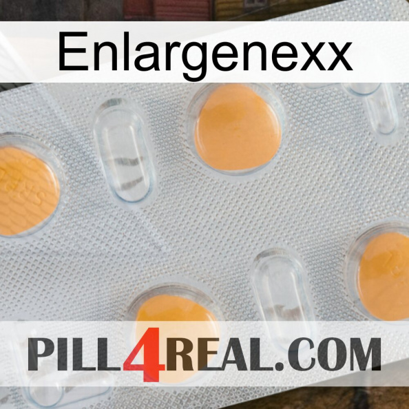 Enlargenexx 24.jpg